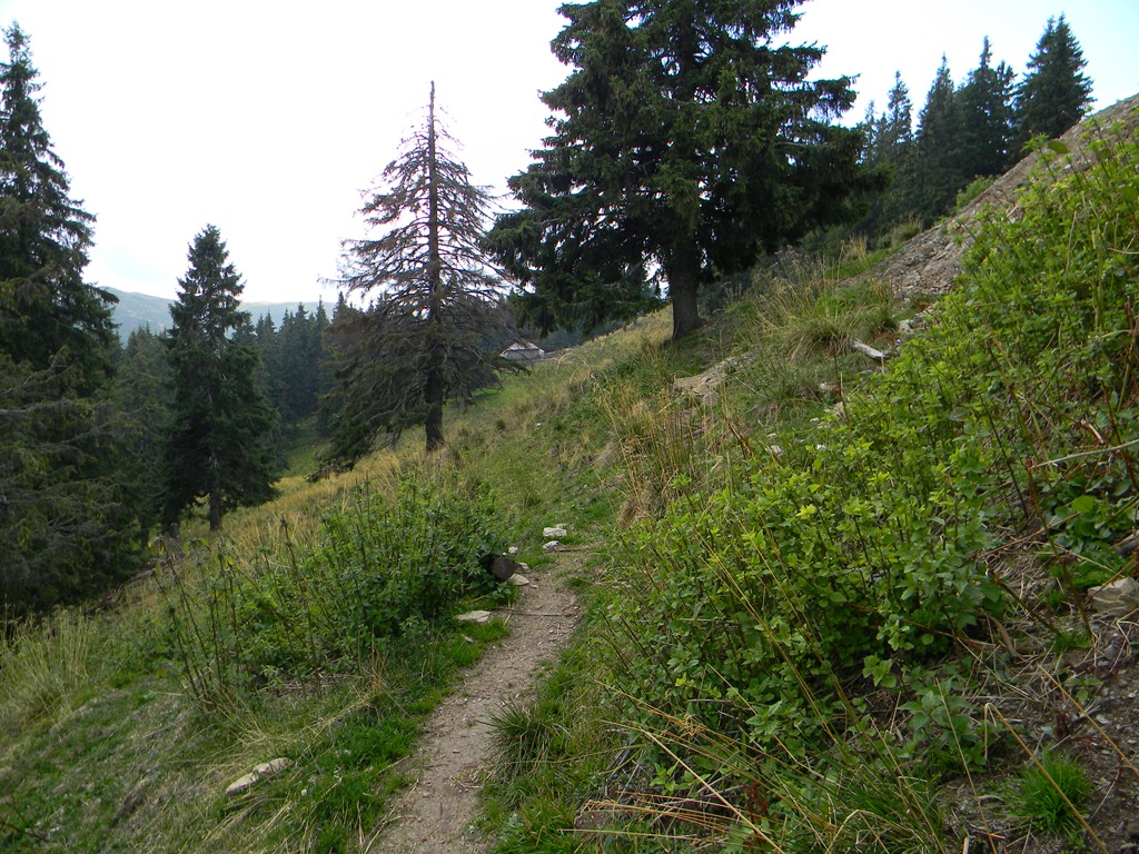 [DSCN45673.jpg]