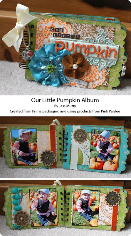 Pumpkin Album Collage