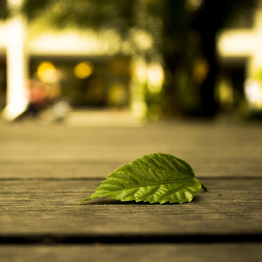 Hd-178908-ascw178908