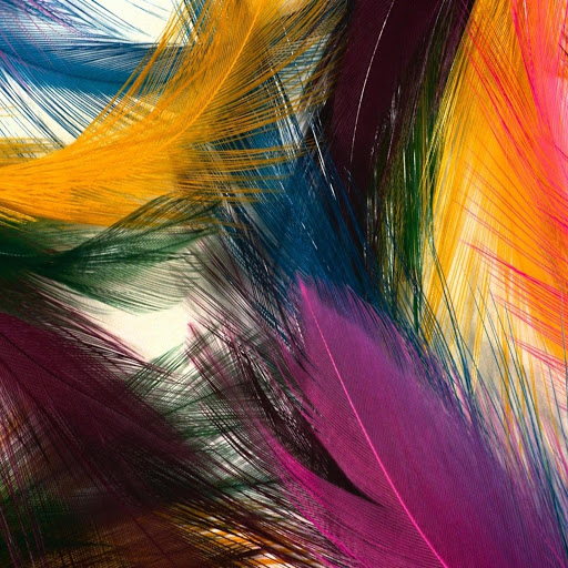 Hd-169916-ascw169916