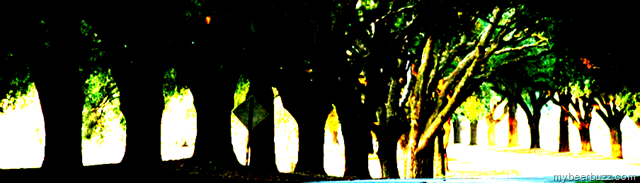 [image%255B2%255D.png]