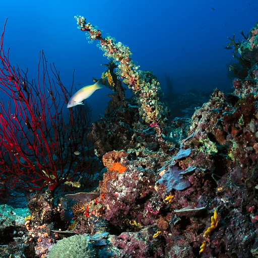 Hd-141888-ascw141888