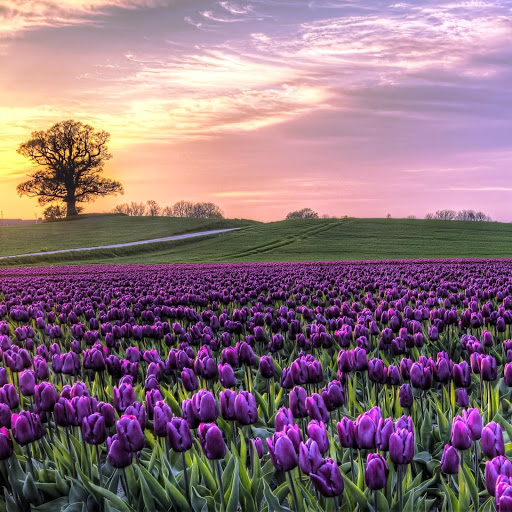 Hd-152253-ascw152253