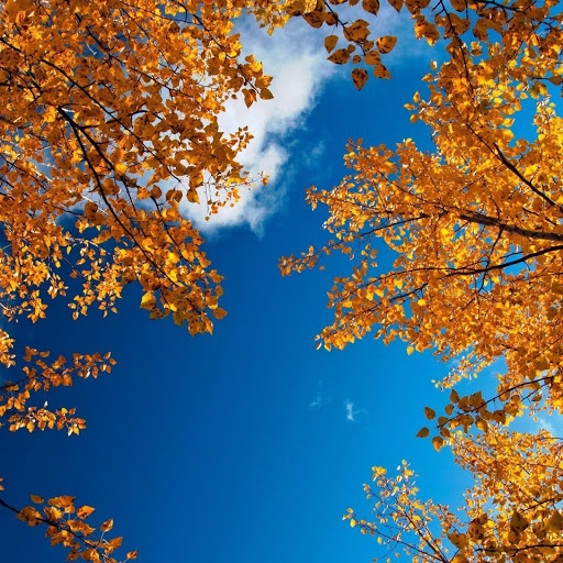 Hd-141255-ascw141255