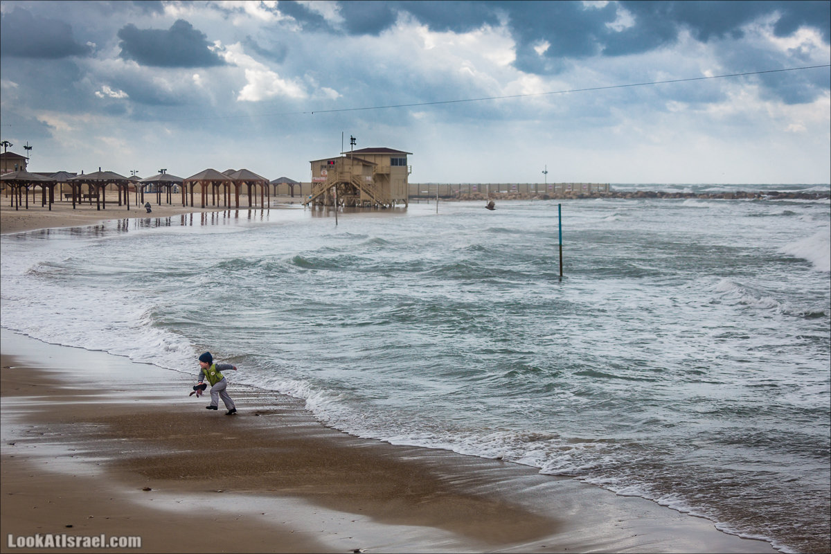 LookAtIsrael.com - Прогулка по дождливому Тель Авиву | Rain in Tel Aviv