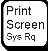 print screen принт скрин