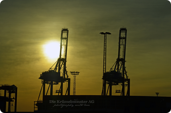 Bremerhavenrundfahrt 261113 (13)