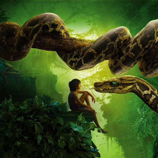 Hd-185026-ascw185026