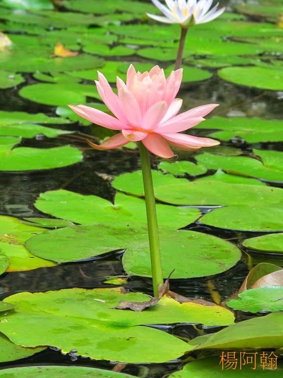 [0830%2520051%2520-%2520%2509%25C3%25BD%2520%255Bq%25C3%25BA%255B5%255D.jpg]