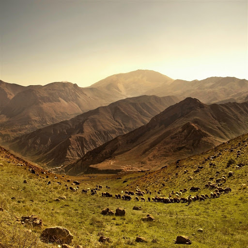 Hd-145086-ascw145086