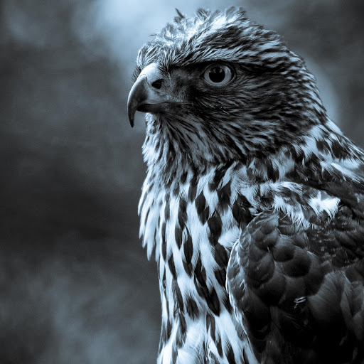 Hd-163713-ascw163713