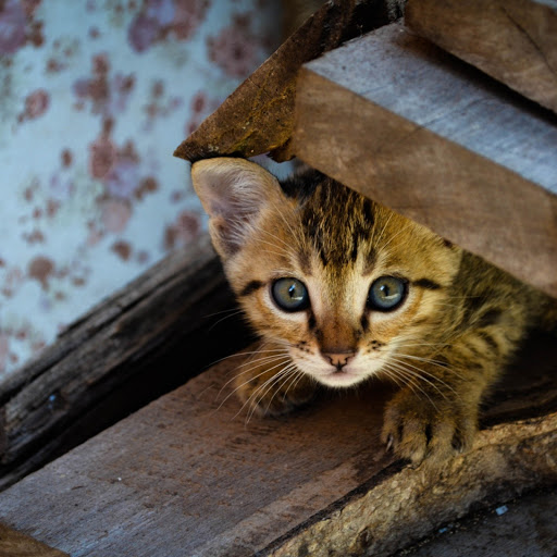 Hd-179991-ascw179991