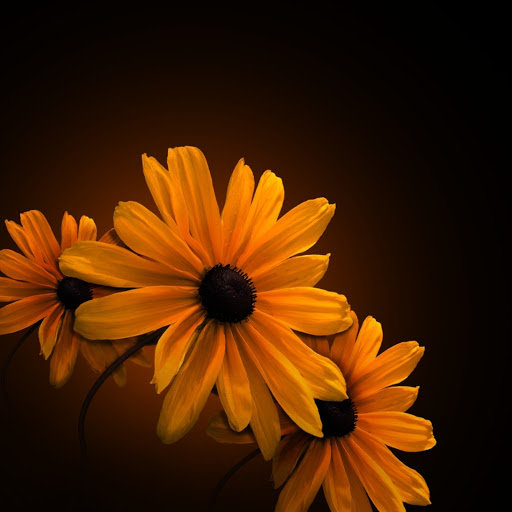 Hd-144701-ascw144701