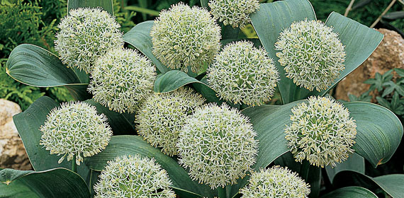 [image%255B53%255D.png]