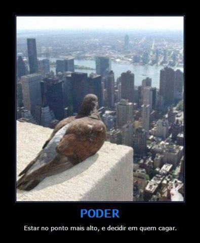 [pombo%255B8%255D.jpg]