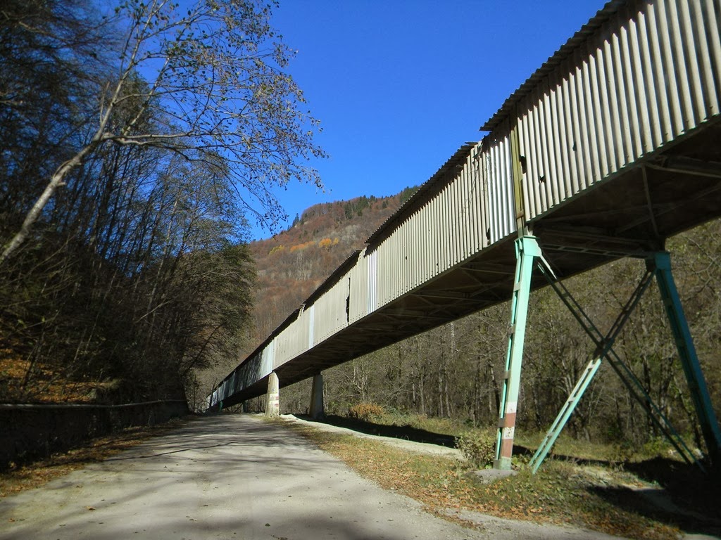 [DSCN79253.jpg]