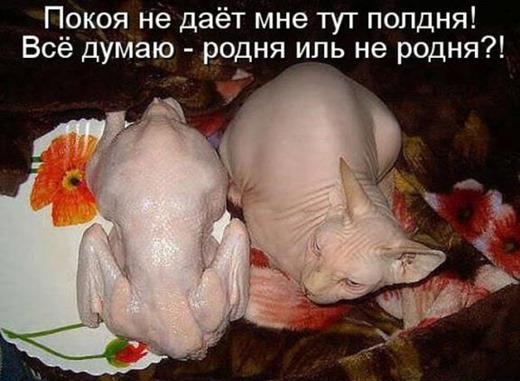 [210b2232dd5f1bac9af557b2bed_prev%255B3%255D.jpg]