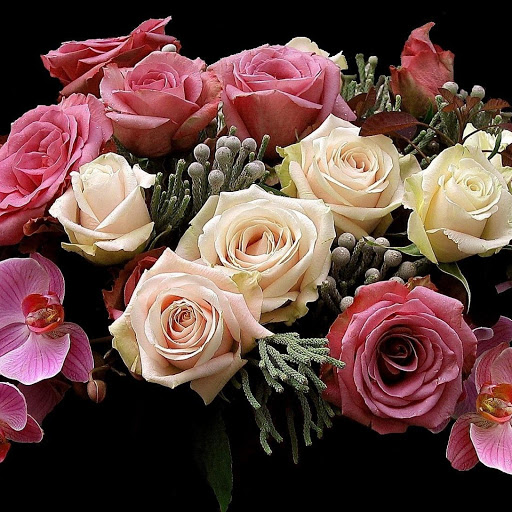 Hd-149868-ascw149868