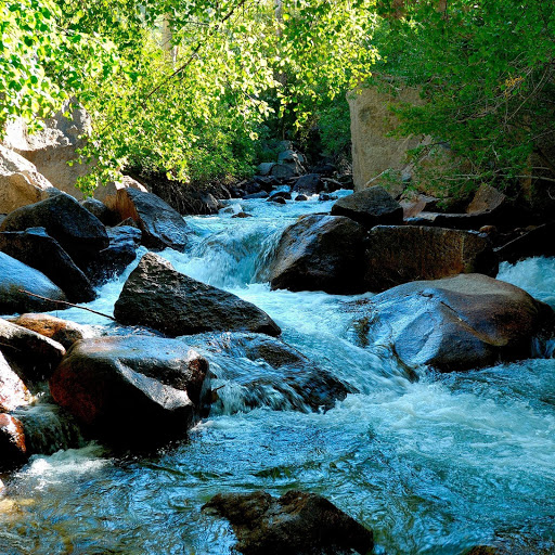 Hd-141217-ascw141217