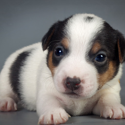 Hd-166159-ascw166159