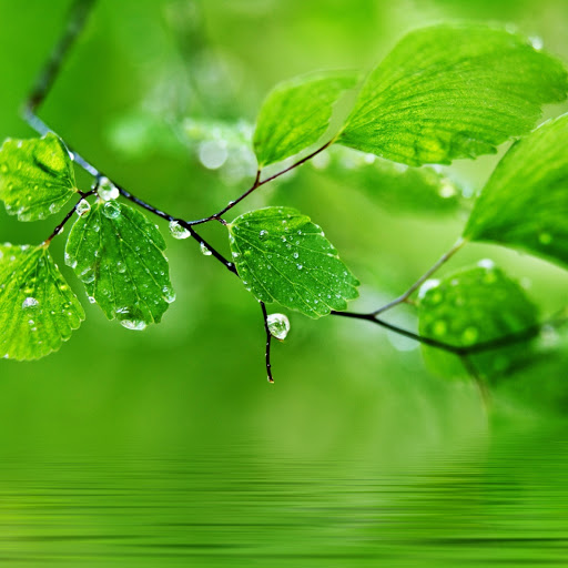 Hd-179967-ascw179967