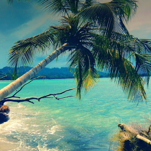 Hd-137816-ascw137816