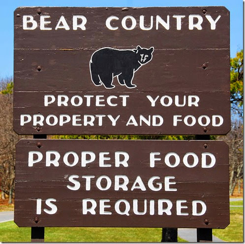 Bear Sign