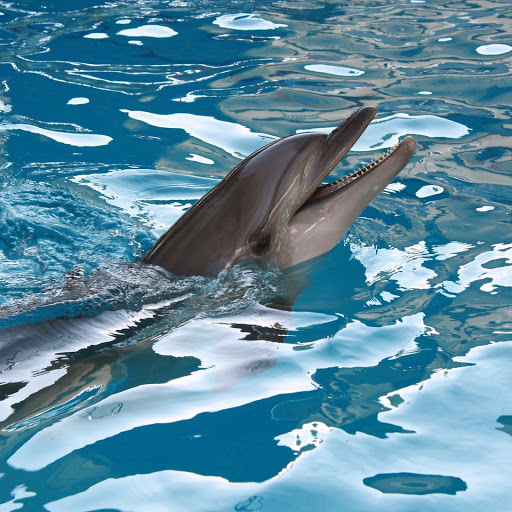 Hd-143835-ascw143835