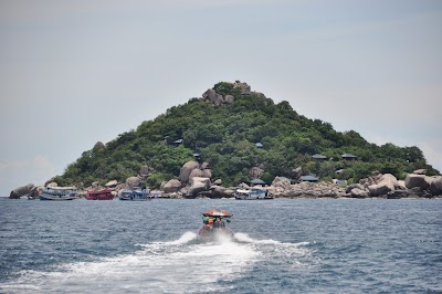 DSC_0298.JPG