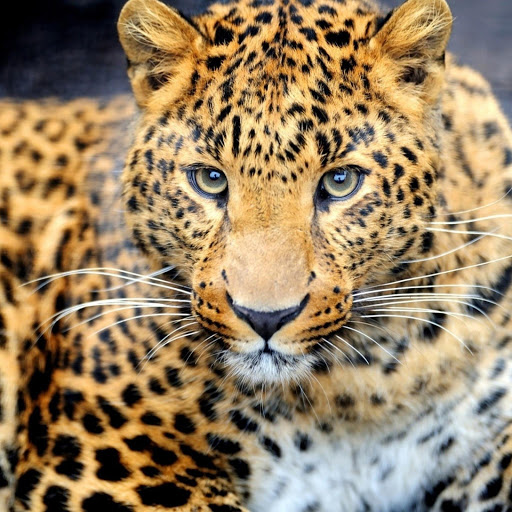 Hd-173594-ascw173594