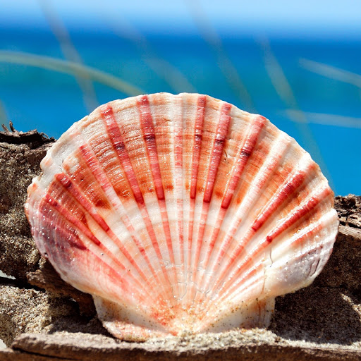 Hd-148894-ascw148894