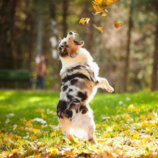 Hd-184992-ascw184992