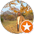 Gaurav Goswami Gaurav Goswami