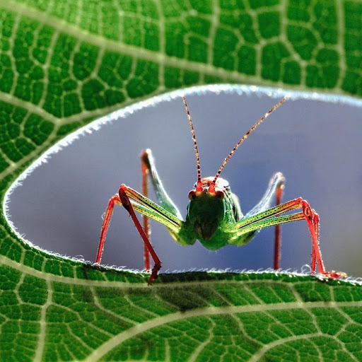 Hd-179206-ascw179206