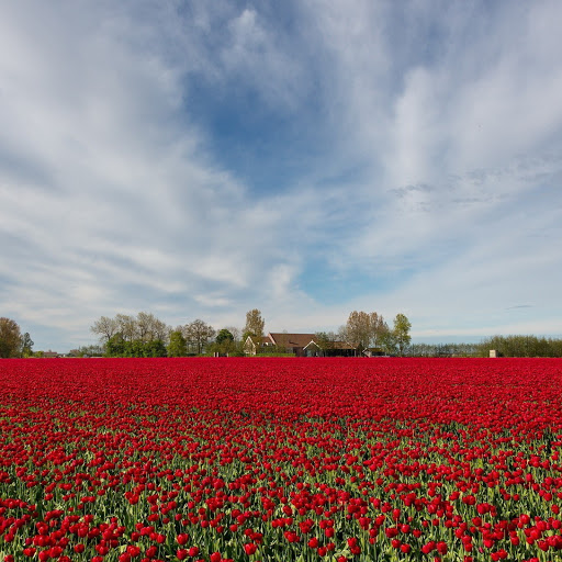 Hd-146569-ascw146569