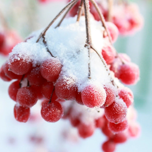 Hd-161789-ascw161789