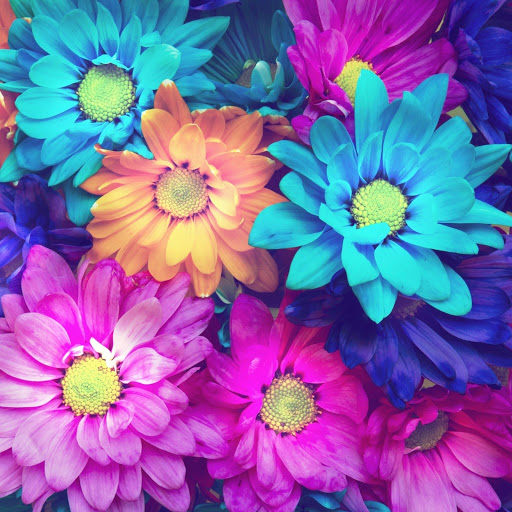 Hd-151500-ascw151500