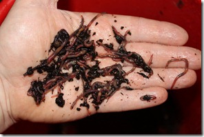 IMG_0480 IMG_0480