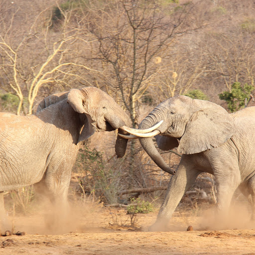 Hd-134621-ascw134621