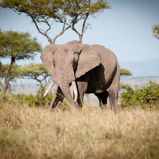 Hd-186097-ascw186097