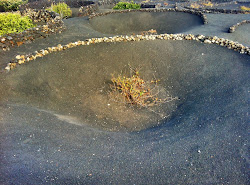 Lanzarote 2011 - - 074