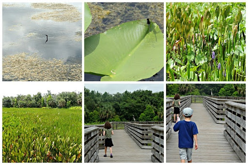 nature7 nature7
