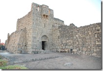 Oporrak 2011 - Jordania ,-  Castillos del desierto , 18 de Septiembre  65