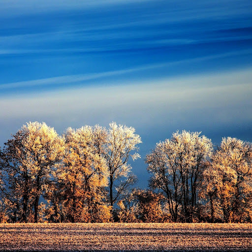 Hd-142104-ascw142104