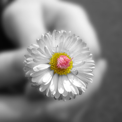 Hd-136867-ascw136867