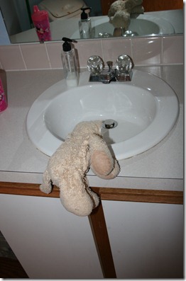 2013-01-07 Rawr in the sink