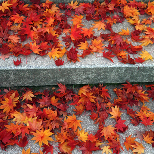 Hd-171203-ascw171203