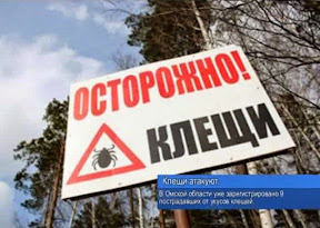 Клещи атакуют