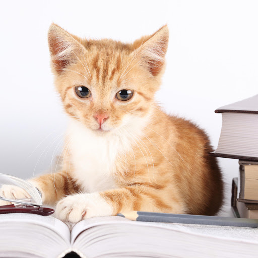 Hd-177744-ascw177744