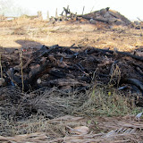 Burned out area shows lots more fire fuel, before  controled by fire fighters